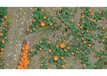 Set "dovleci" - H0 Busch 1201